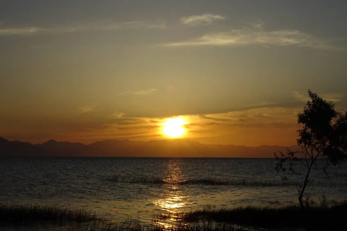 camping-lake-shkodra-resort-albania-grile-vrake-imqjq