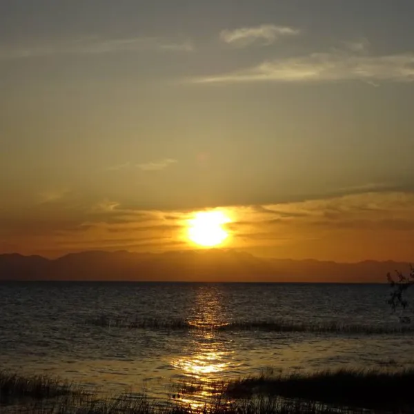 camping-lake-shkodra-resort-albania-grile-vrake-imqjq