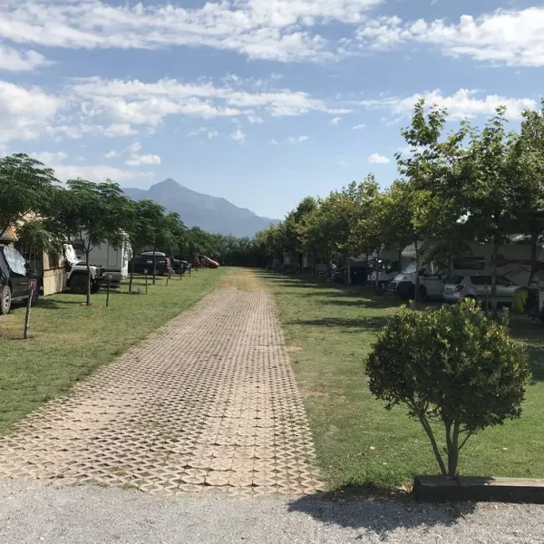 camping-lake-shkodra-resort-albania-grile-vrake-q3rkq