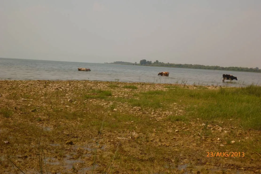 camping-lake-shkodra-resort-albania-grile-vrake-qm5mh