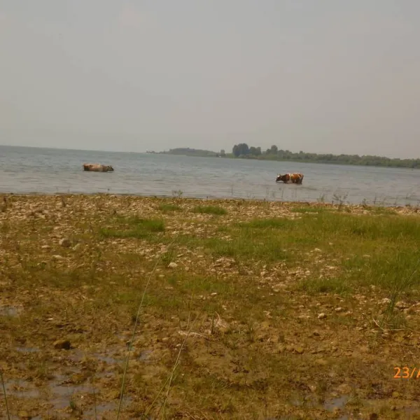 camping-lake-shkodra-resort-albania-grile-vrake-qm5mh