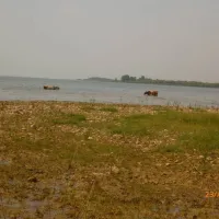 camping-lake-shkodra-resort-albania-grile-vrake-qm5mh