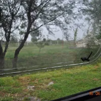 camping-lake-shkodra-resort-albania-grile-vrake-tjpgw