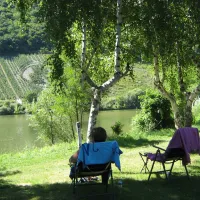 Neumagen Dhron