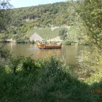 neumagen-dhron-neumagen-moezel-mggzr