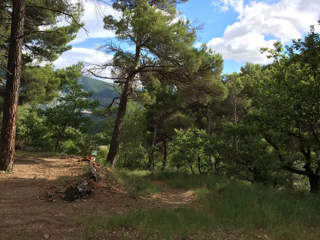 les-etangs-de-la-gippiere-la-penne-sur-ouveze-3ckyx