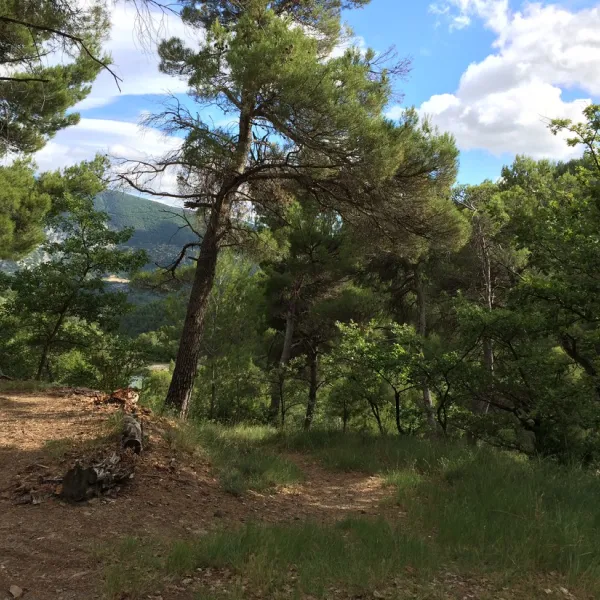 les-etangs-de-la-gippiere-la-penne-sur-ouveze-3ckyx
