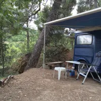 Les Etangs de la Gippiere