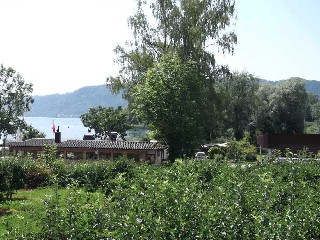 bodman-ludwigshafen-bodman-lcoew