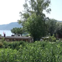 Bodman-Ludwigshafen
