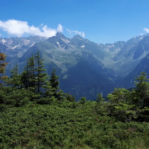 neige-et-nature-la-ferriere-kvkmb