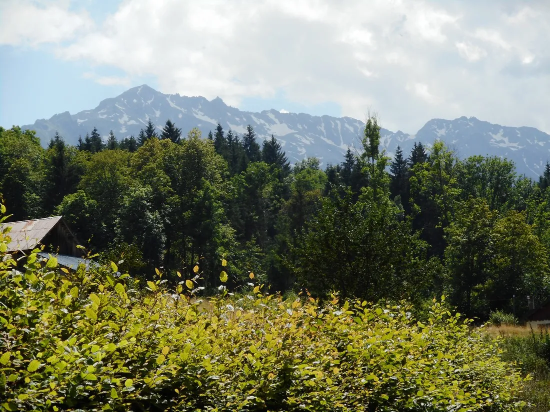 neige-et-nature-la-ferriere-ukpkh