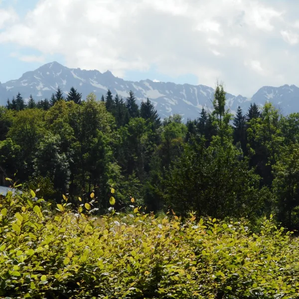 neige-et-nature-la-ferriere-ukpkh