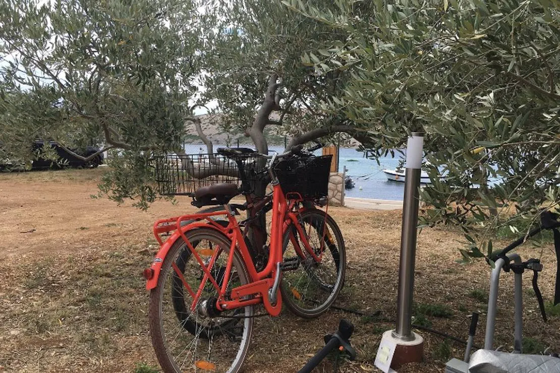 camping-wodenca-rab-9otxp