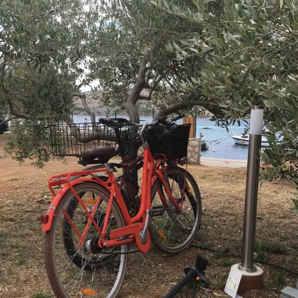 camping-wodenca-rab-9otxp