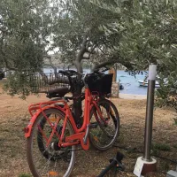 camping-wodenca-rab-9otxp