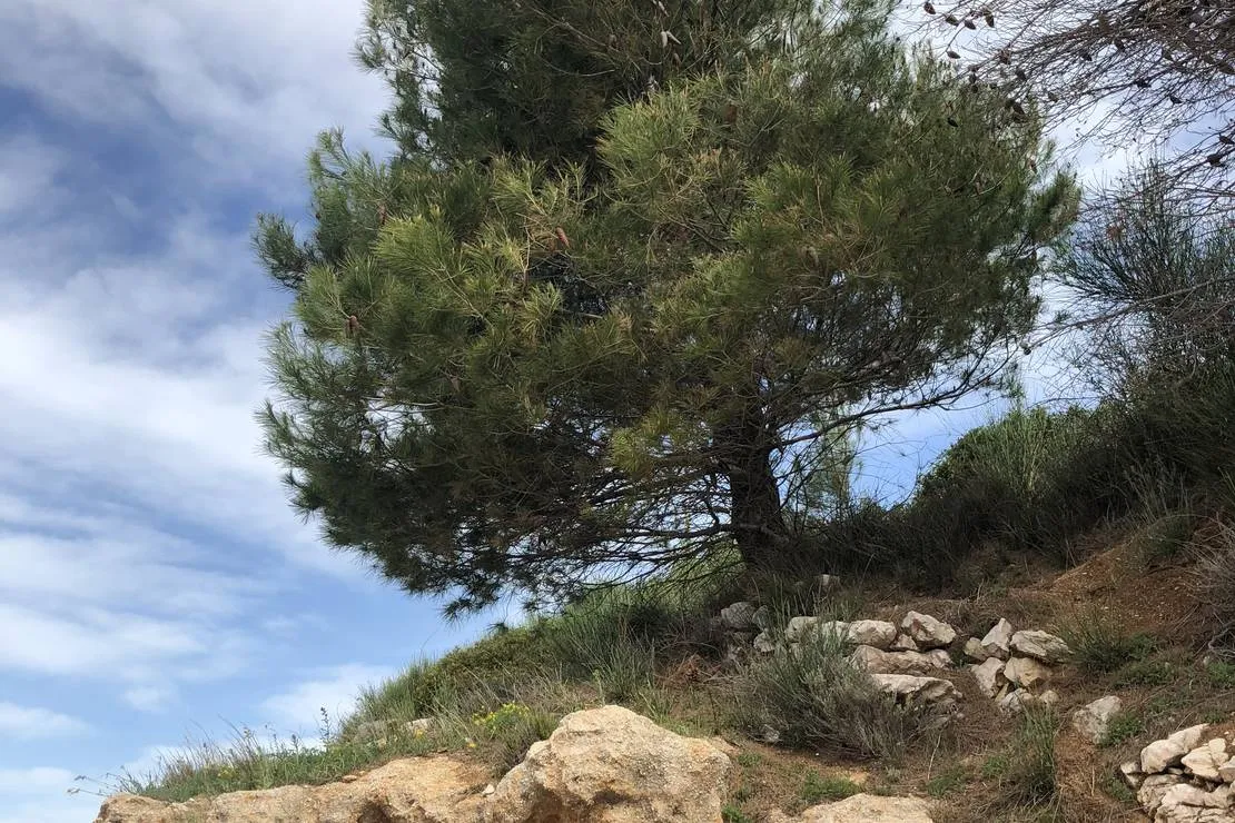 camping-wodenca-rab-qv5pm