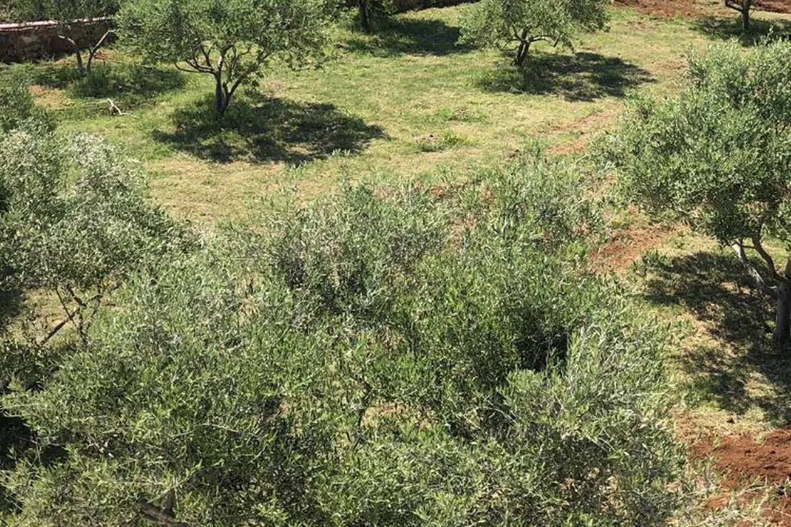 camping-wodenca-rab-shqud