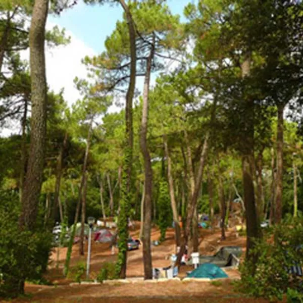le-bois-damour-la-baule-loire-atlantique-impfw