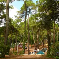 le-bois-damour-la-baule-loire-atlantique-impfw