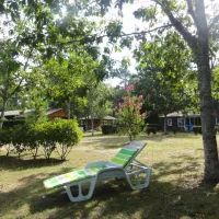 L' Étang d'Ardy