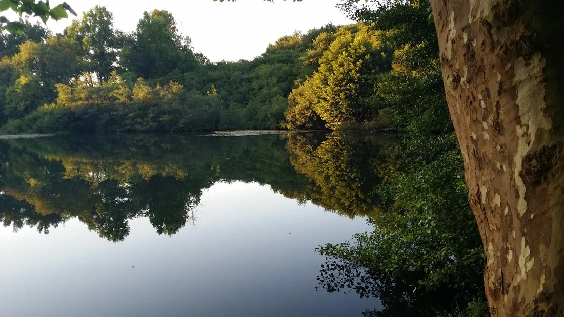 l-etang-dardy-st-paul-les-dax-ujirf