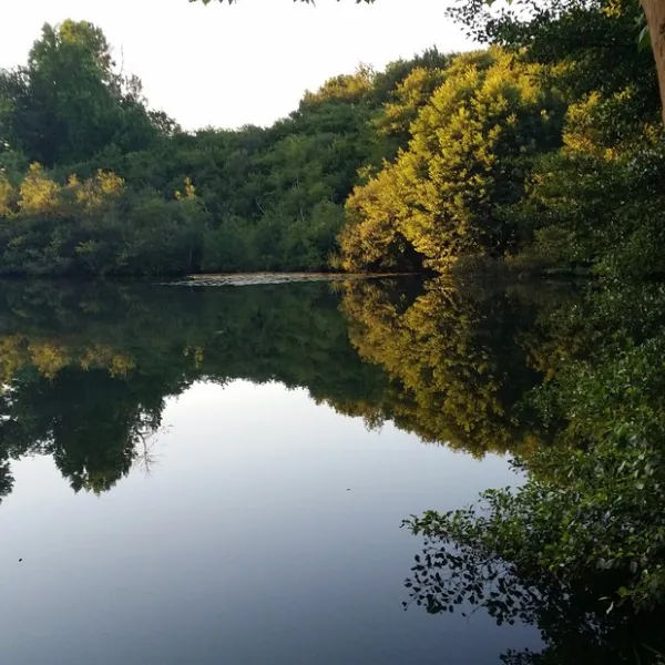 l-etang-dardy-st-paul-les-dax-ujirf
