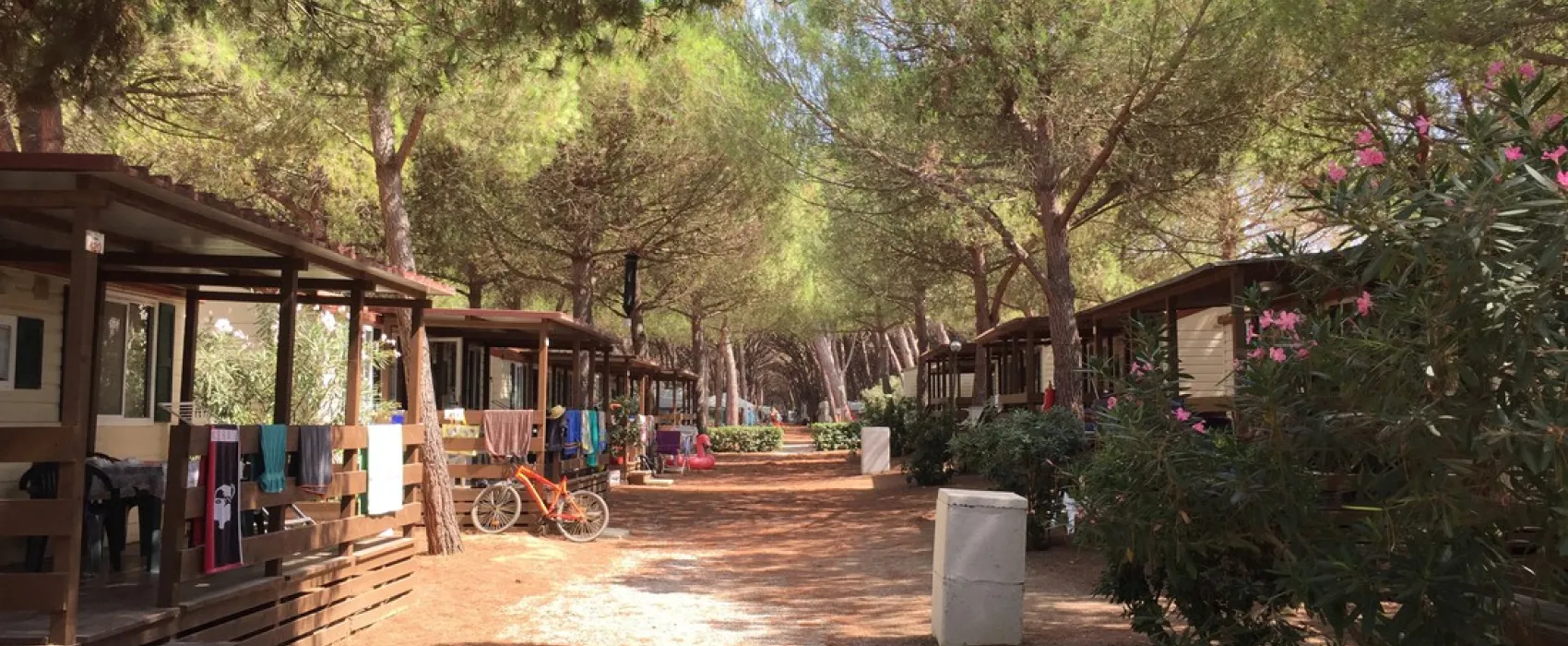 Europing (Glamping)