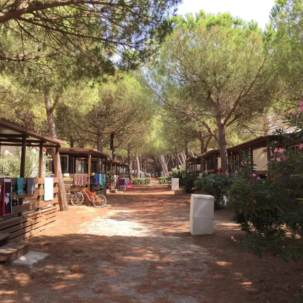 europing-glamping-tarquinia-vwk0l