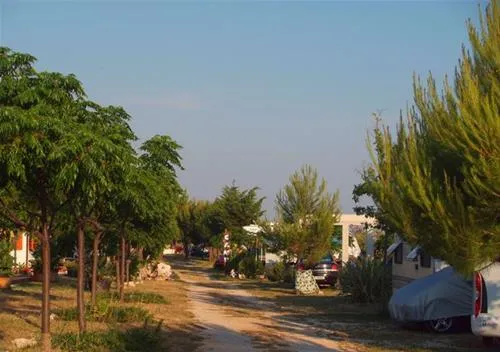camp-bakija-biograd-651j3