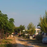 camp-bakija-biograd-651j3