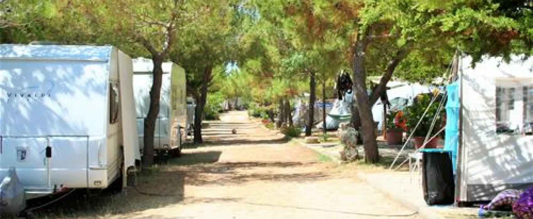 Camp Bakija