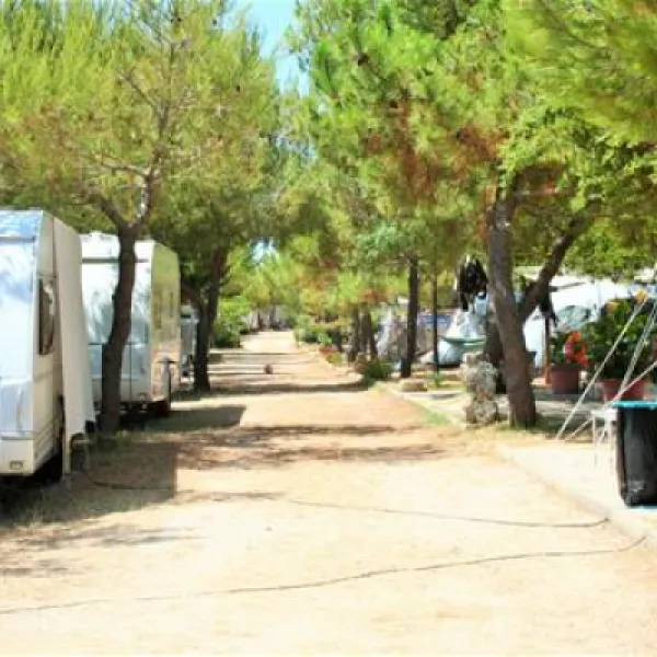 camp-bakija-biograd-6ija4