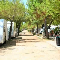 camp-bakija-biograd-6ija4