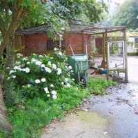 camping-wildemansheerd-schildwolde-2zdr2