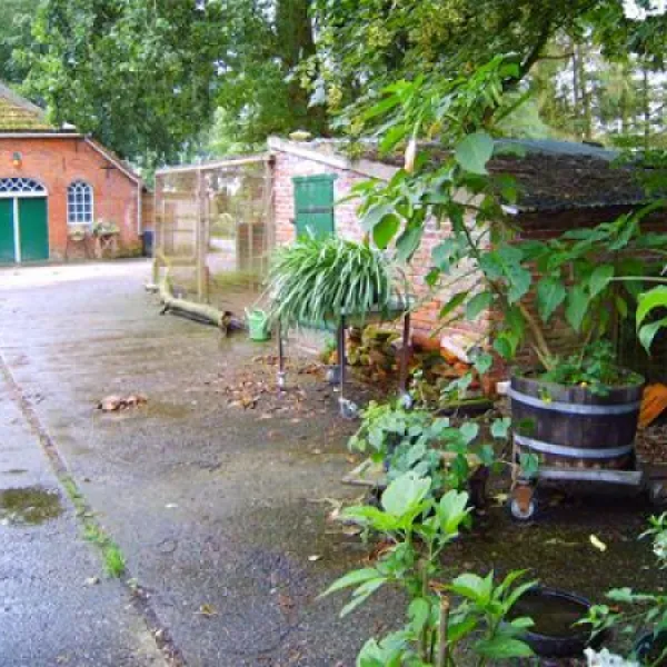 camping-wildemansheerd-schildwolde-amklq