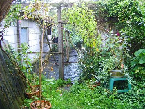 camping-wildemansheerd-schildwolde-bylsn
