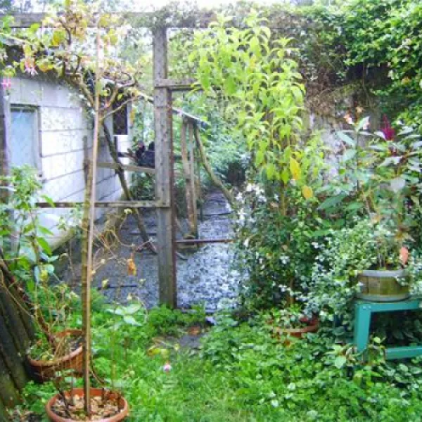 camping-wildemansheerd-schildwolde-bylsn