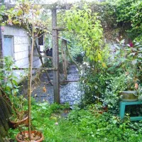 camping-wildemansheerd-schildwolde-bylsn