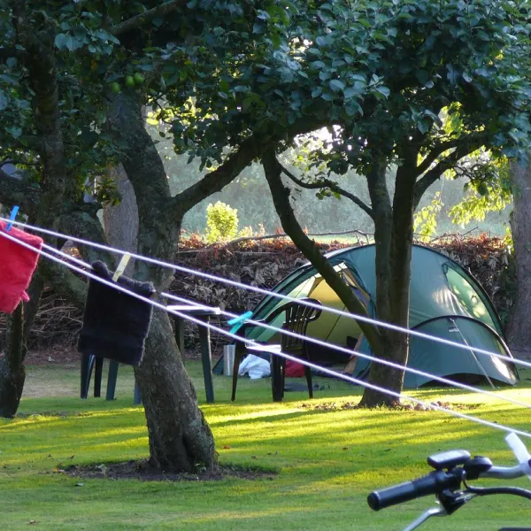camping-wildemansheerd-schildwolde-dktbv
