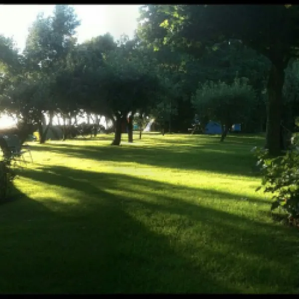 camping-wildemansheerd-schildwolde-iqjuf