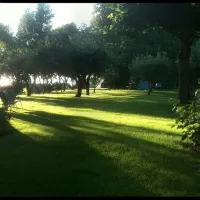 camping-wildemansheerd-schildwolde-iqjuf