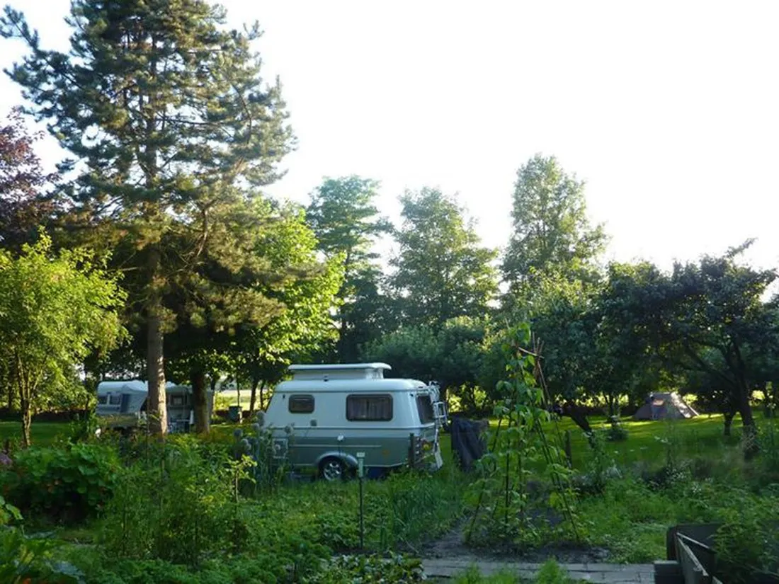 camping-wildemansheerd-schildwolde-qdv5h