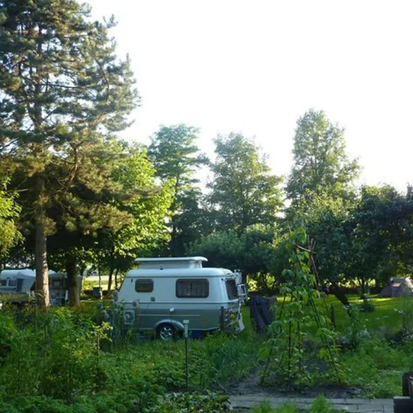 camping-wildemansheerd-schildwolde-qdv5h