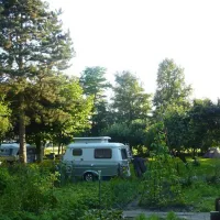 camping-wildemansheerd-schildwolde-qdv5h