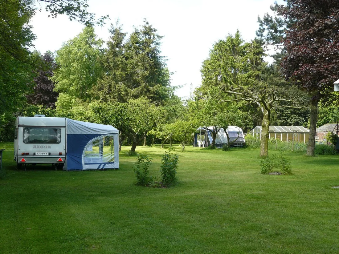 camping-wildemansheerd-schildwolde-twnyy