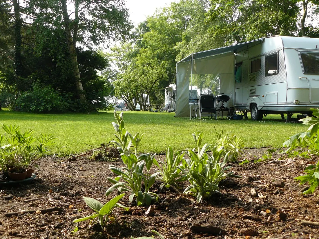 camping-wildemansheerd-schildwolde-zn5od