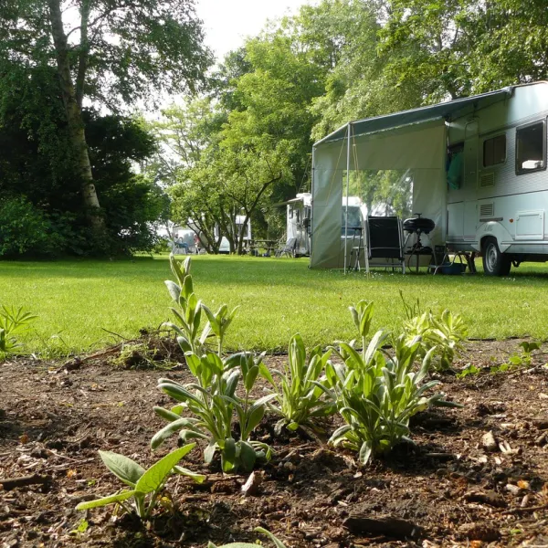 camping-wildemansheerd-schildwolde-zn5od