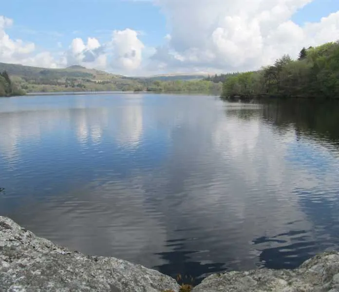harford-bridge-holiday-park-tavistock-yleet