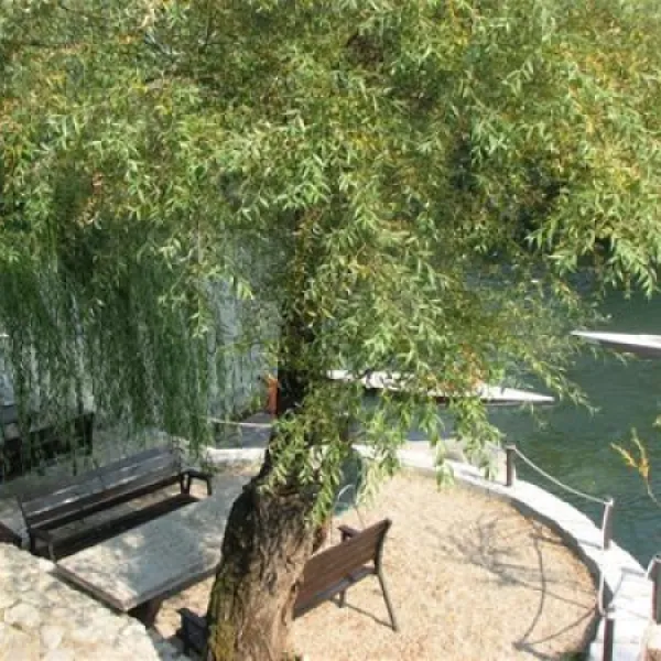 autocamp-blagaj-blagaj-n0kge